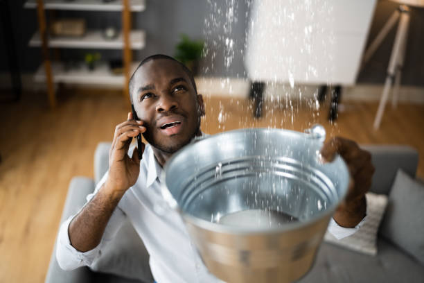 Best Ceiling water damage repair  in Moose Lake, MN