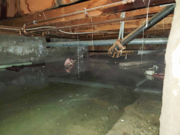 Sewage cleanup and water damage restoration in MN