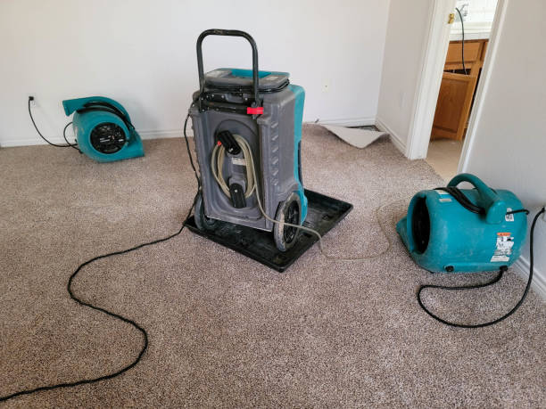 Best Water damage cleanup near me  in Moose Lake, MN