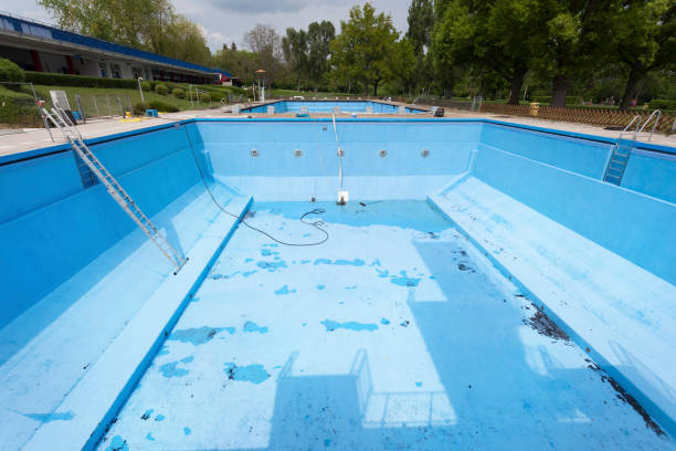 Best Water damage contractors near me  in Moose Lake, MN