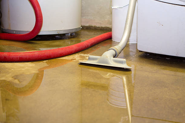 Best 24/7 water damage repair  in Moose Lake, MN