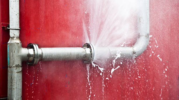 Best Water damage restoration cost  in Moose Lake, MN