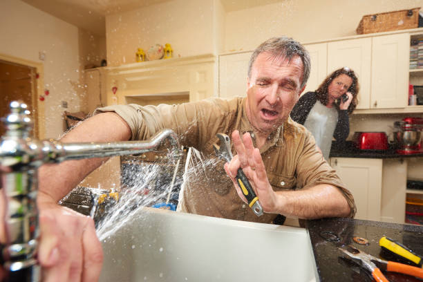 Best Carpet water damage restoration  in Moose Lake, MN